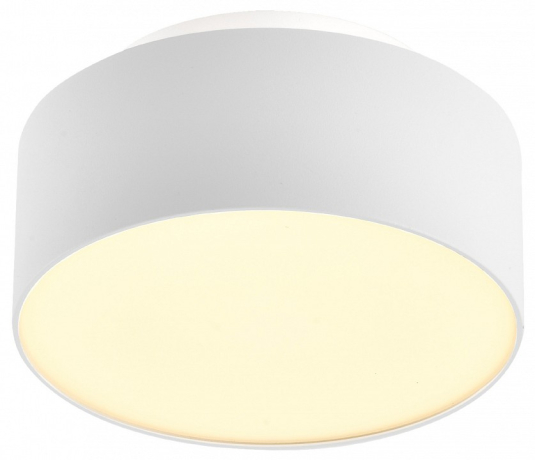 Накладной светильник ST-Luce ST166 ST166.542.17 