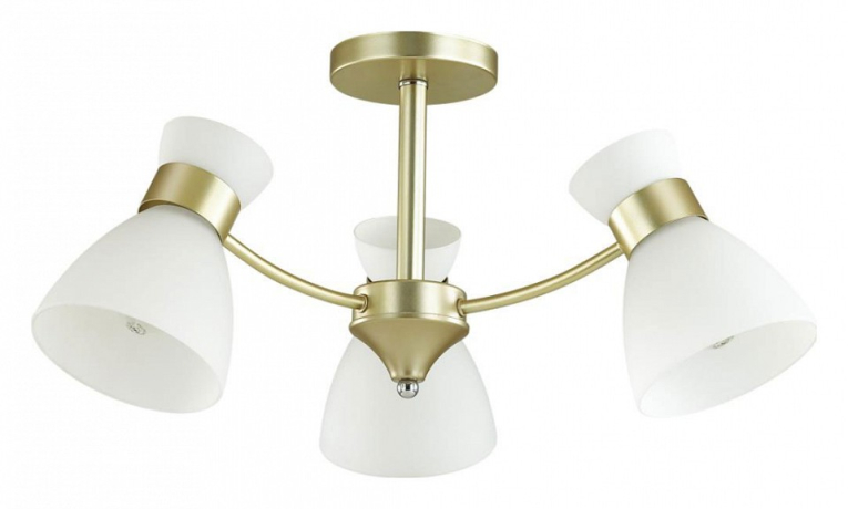 Люстра на штанге Lumion Wilma 4535/3C 