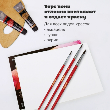 Нарушена упаковка! <205434> Кисти ПИФАГОР, набор 3 шт. (ПОНИ: круглые № 2, 3, 4), пакет с европодвесом, 200227 (200227)