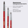 Нарушена упаковка! <205434> Кисти ПИФАГОР, набор 3 шт. (ПОНИ: круглые № 2, 3, 4), пакет с европодвесом, 200227 (200227)