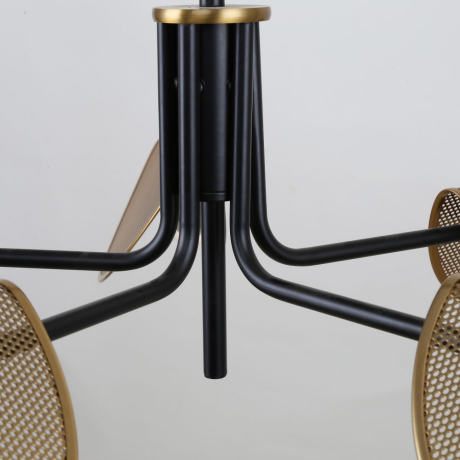 Люстра на штанге F-Promo Harsh 4082-5P 