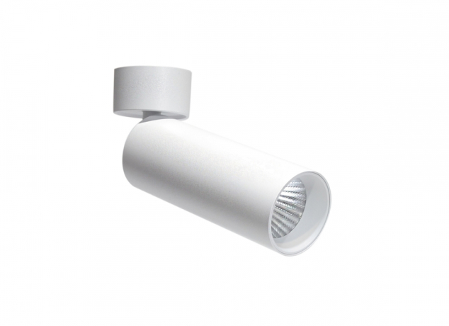 Спот (блок питания в комплекте) Donolux Rollo DL18895R20W1W ST 