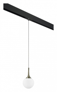 Трековый светильник Lightstar Globo (813011+595007) PRO813011