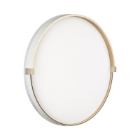 Настенно-потолочный светильник Sonex Pale Olidi White 7646/DL