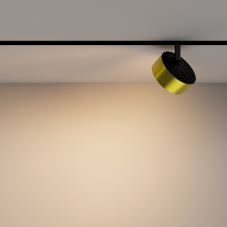 Светильник на штанге Maytoni Technical Rado TR040-2-18W3K-BBS 