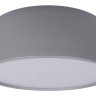 Накладной светильник Loft it Axel 10201/350 Grey 