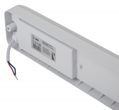 Светильник ЖКХ светодиодный пожаробезопасный Эра SPB-103-0-40K-020 (Б0052939)