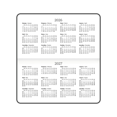 Нарушена упаковка!  <795351> Еженедельник датированный 2026 с резинкой 171х93 мм, BRAUBERG, твердый, УФ-ЛАК, 64 л., "Розы", 117353