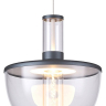 Подвесной светильник Favourite Flaska 4312-1P 