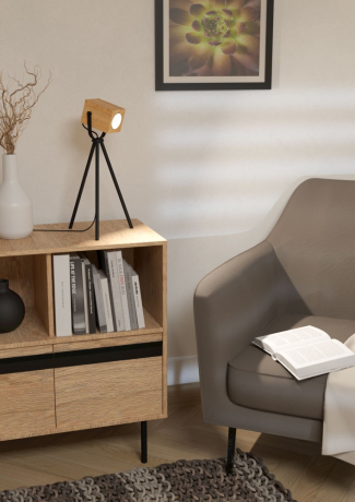 Настольная лампа декоративная Eglo Ayles 43749 