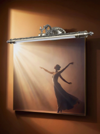 A6312AP-1AB Картинная светодиодная подсветка Arte Lamp