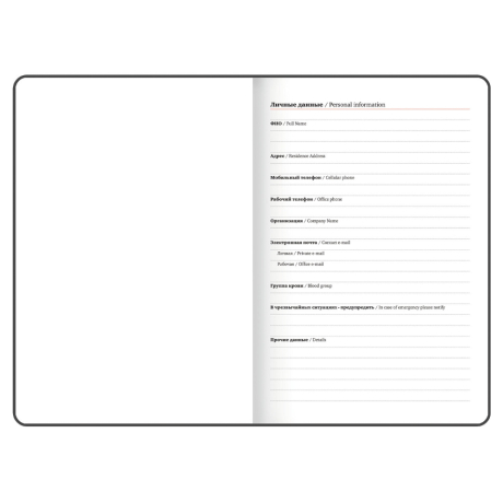 Нарушена упаковка!  <795160> Еженедельник датированный 2026 БОЛЬШОЙ ФОРМАТ 210х297 мм, А4 BRAUBERG "Favorite", под кожу, синий, 117151