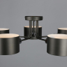 OML-54507-05 Потолочная люстра Omnilux Liserà 