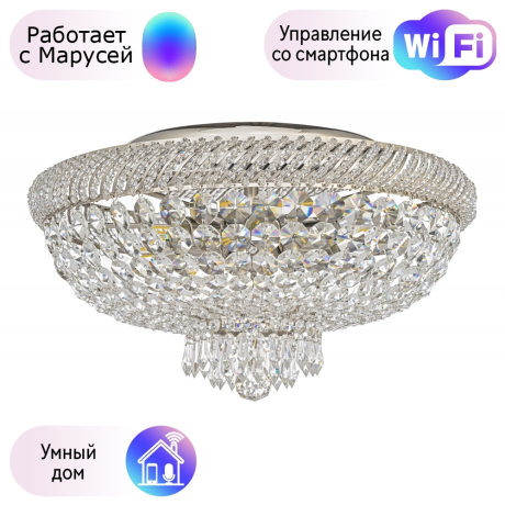 Потолочный светильник Dio DArte Elite с поддержкой Маруся Bari E 1.2.45.100 N-М 