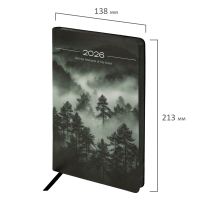 Нарушена упаковка! <795441> Ежедневник датированный 2026 А5 138x213 мм, BRAUBERG "Vista", под кожу, гибкий, "Mist", 117450