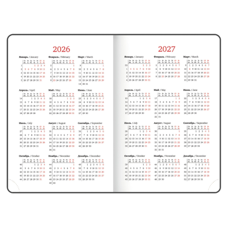 Нарушена упаковка!  <795441> Ежедневник датированный 2026 А5 138x213 мм, BRAUBERG "Vista", под кожу, гибкий, "Mist", 117450