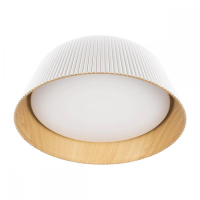 Потолочный светодиодный светильник Loft IT Evans 10224 White