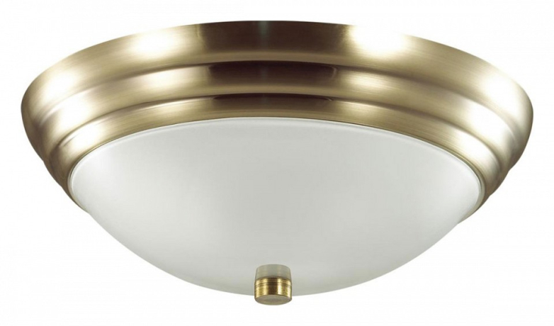 Накладной светильник Lumion Kayla 5262/2C 