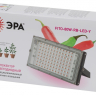Фитопрожектор для растений светодиодный ЭРА FITO-80W-RB-LED-Y красно-синего спектра Б0053082 