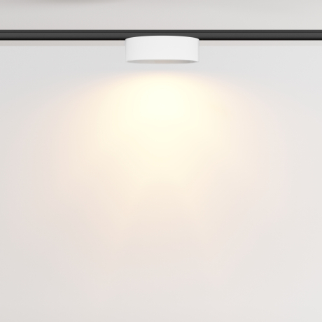 Трековый светильник Technical TR189-1-12W2.7K-BW Zon 