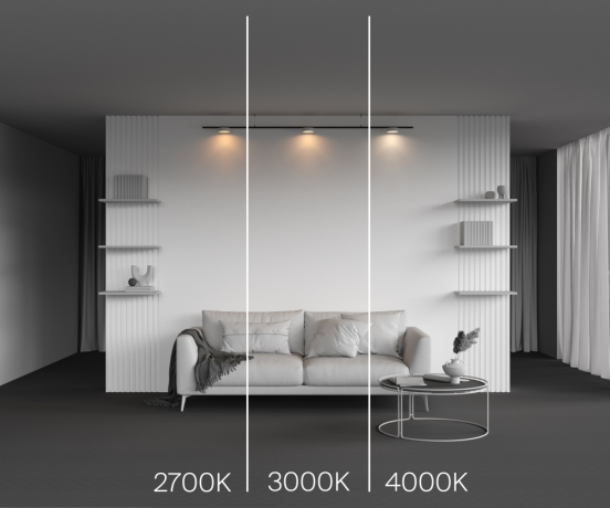 Трековый светильник Technical TR189-1-12W2.7K-BW Zon 