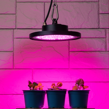 Фитопрожектор для растений светодиодный ЭРА FITO-50W-RB-LED-UFO красно-синего спектра 50 Вт IP65 Б0053280 