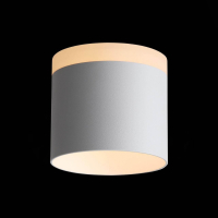 Накладной светильник ST-Luce Panaggio ST102.502.12