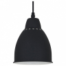 Подвесной светильник Arte Lamp Braccio A2054SP-1BK 