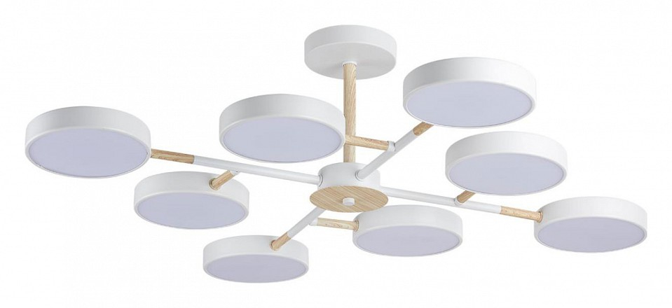 Люстра на штанге Lumion Brad 5653/99CL 