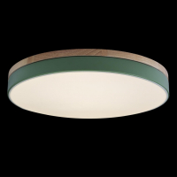 Потолочный светодиодный светильник Axel Loft It 10001/36 Green