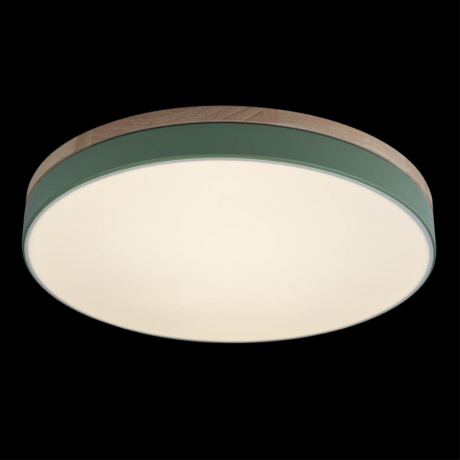 Потолочный светодиодный светильник Axel Loft It 10001/36 Green 