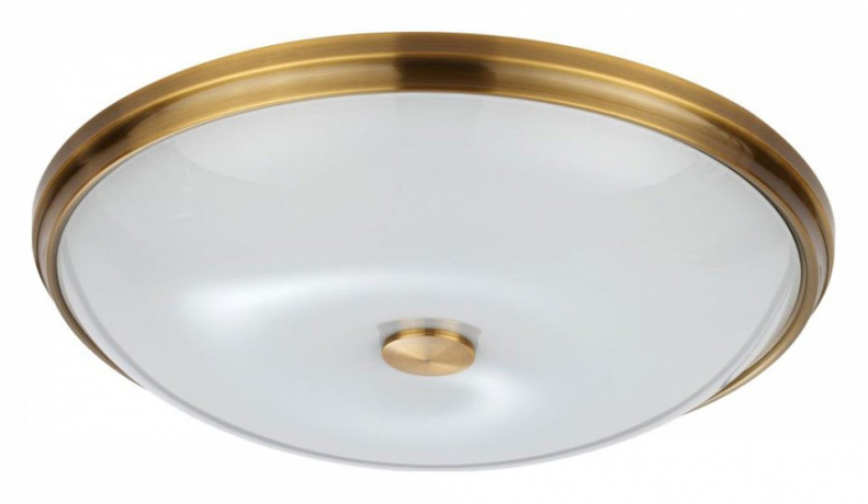 Накладной светильник Odeon Light Pelow 4956/5 