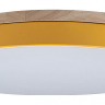 Накладной светильник Loft it Axel 10001/36 Yellow 