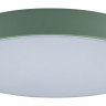 Накладной светильник Loft it Axel 1 10002/24 Green 