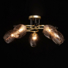 Люстра потолочная с лампочками DeMarkt 463012505+Lamps