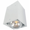 Накладной светильник Arte Lamp Cardani A5936PL-1WH 