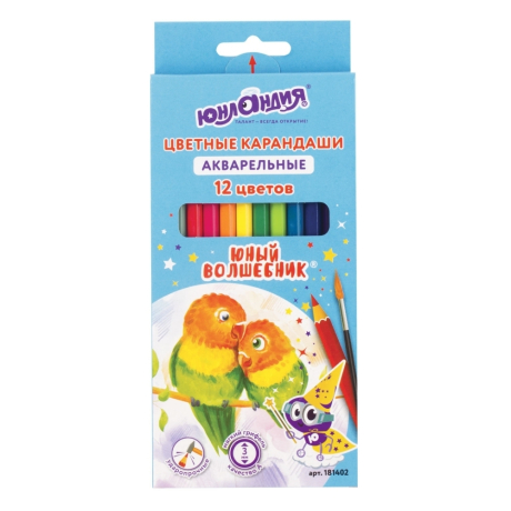Нарушена упаковка!  <204478> Карандаши цветные акварельные ЮНЛАНДИЯ "ЮНЫЙ ВОЛШЕБНИК", 12 цветов, шестигранные, заточенные, 181402 (181402)