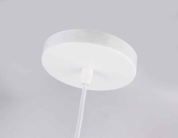 Подвесной светильник с лампочкой Ambrella light TR8441+Lamps 