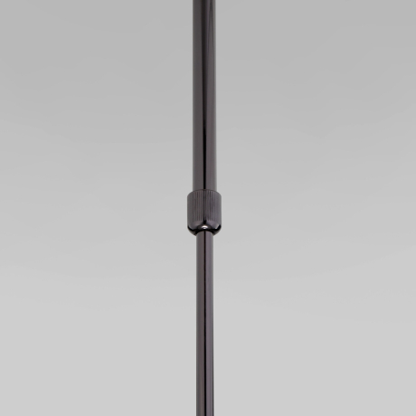 Светильник на штанге Eurosvet Pacific 50255/1 черный жемчуг 