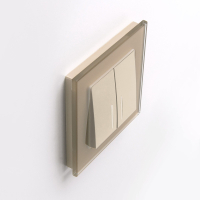 Выключатель двухклавишный с подсветкой (шампань) Werkel W1120111