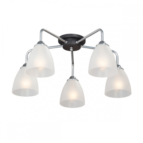 Потолочная люстра Vitaluce V4500 V4500-9/5PL 