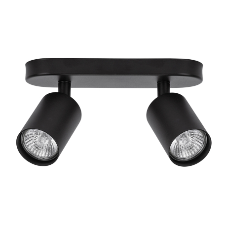 Спот Arte Lamp Aquarius A3226PL-2BK 