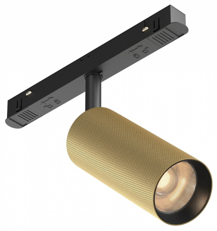 Светильник на штанге Maytoni Technical Artisan TR097-2-12W3K-M-BMG 