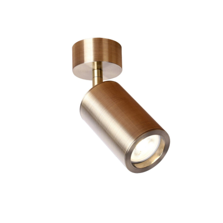 Потолочный поворотный светильник Favourite Angularis 2801-1U 