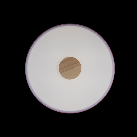 Накладной светильник Loft it Axel 2 10003/24 Pink 