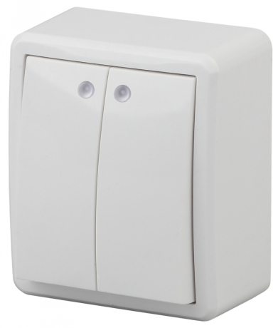 Переключатель двухклавишный с подсветкой ЭРА Эксперт 10AX 250V 11-1205-01 Б0020666