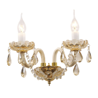 1738-2W Настенное бра Favourite Brendy