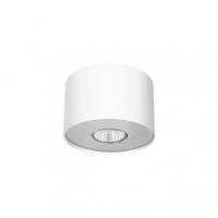 6000 Накладной точечный светильник Nowodvorski Point