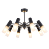 Люстра на штанге F-Promo Viator 2558-8P 