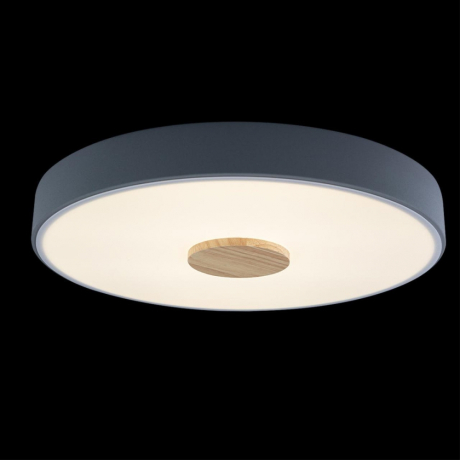 Накладной светильник Loft it Axel 2 10003/24 Grey 